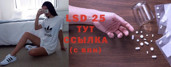 прущие грибы Алексин