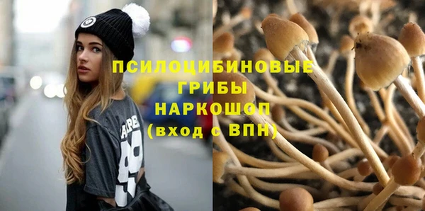 амфетамин Алексеевка