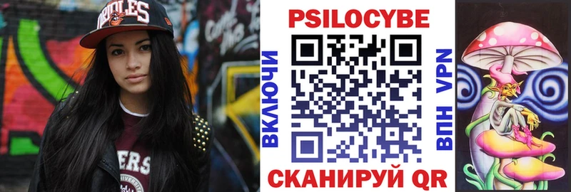 Купить где  Володарск  Галлюциногенные грибы Cubensis 